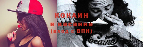 прущий лед Лиски