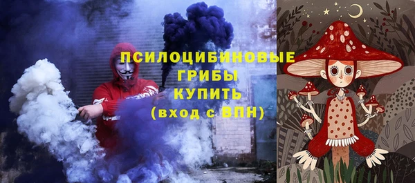 PSILOCYBIN Липки