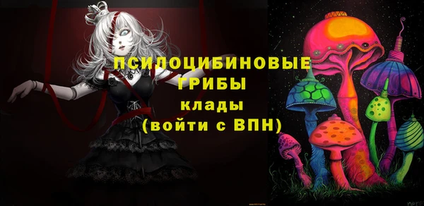 прущий лед Лиски