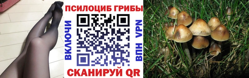Галлюциногенные грибы ЛСД  Балашиха 