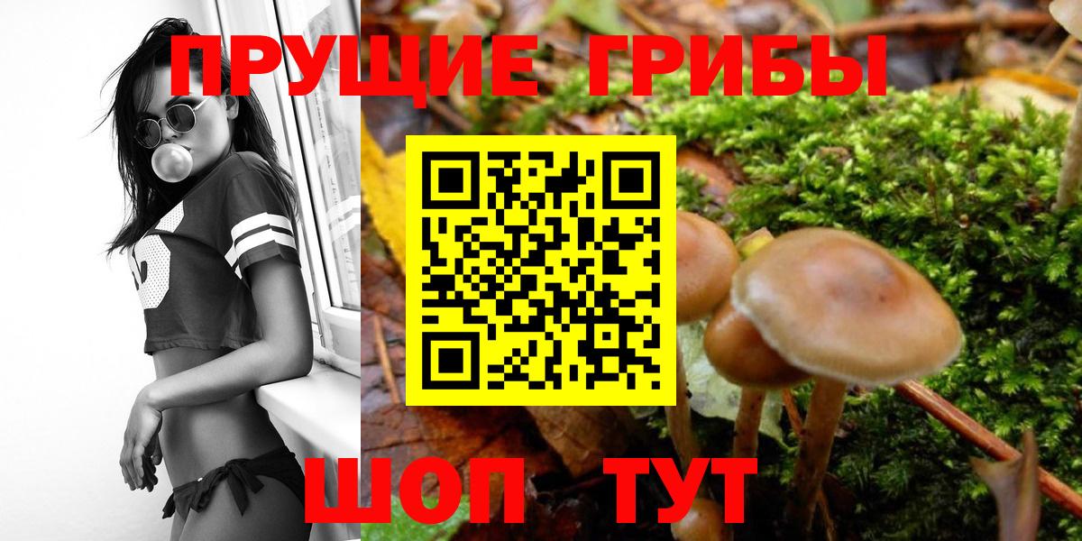 Балашиха  наркотики  Вход с VPN  Галлюциногенные грибы Psilocybe 