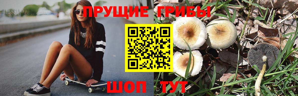 Галлюциногенные грибы Psilocybine cubensis Балашиха